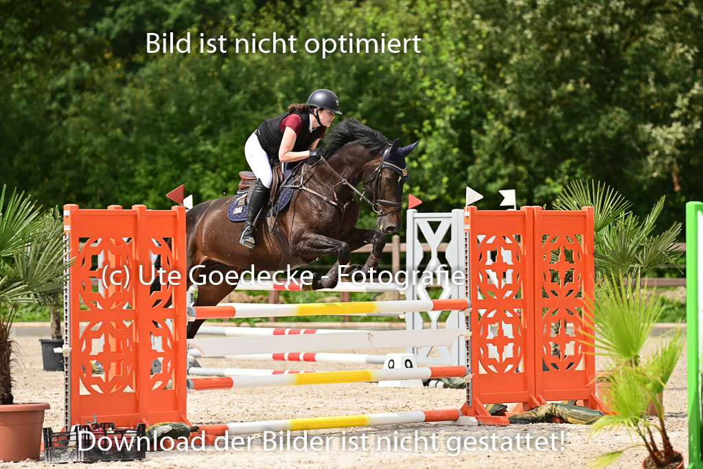 Klein Offenseth  - Hengststation Hell | 26072025 L Springen _093 