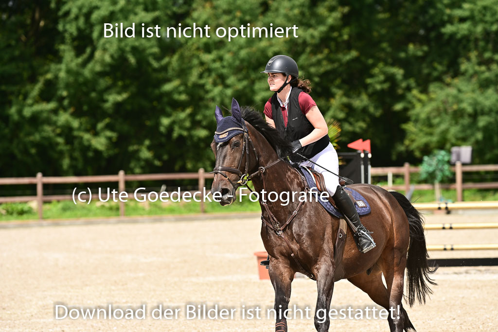 Klein Offenseth  - Hengststation Hell | 26072025 L Springen _095 