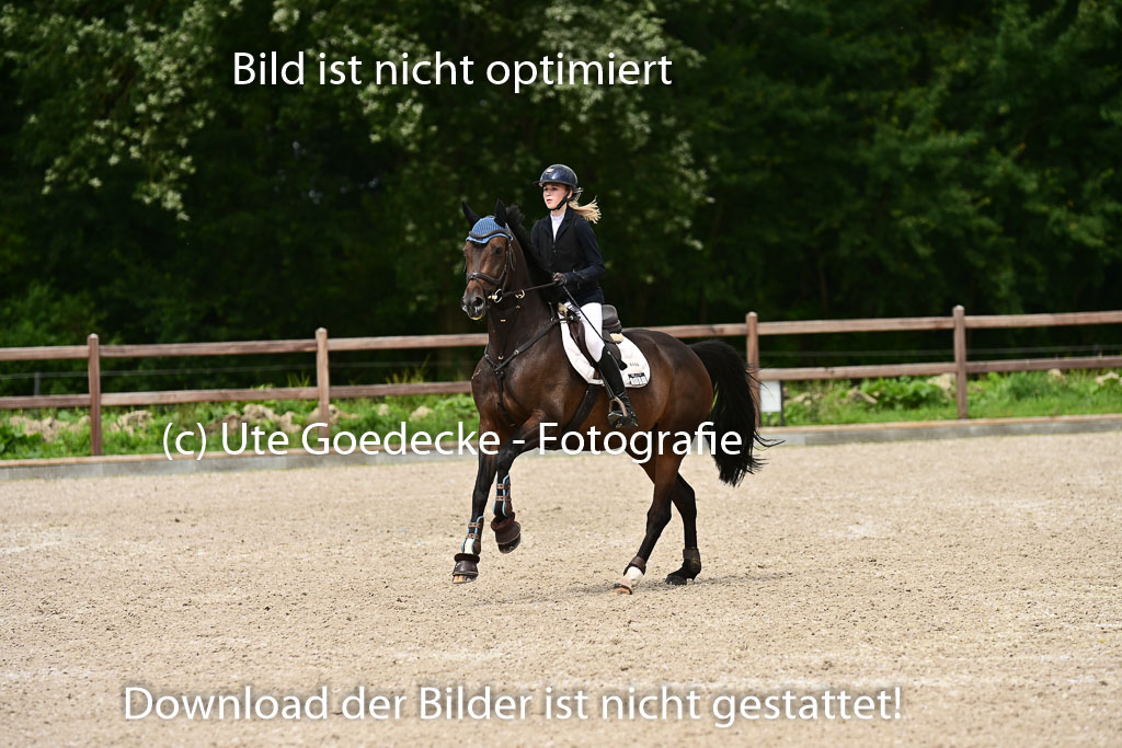 Klein Offenseth  - Hengststation Hell | 26072025 L Springen _097 