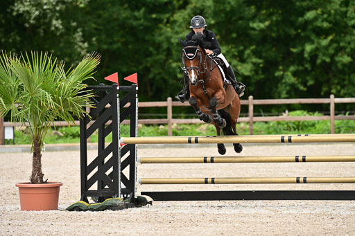 Klein Offenseth  - Hengststation Hell | 26072025 L Springen _015 