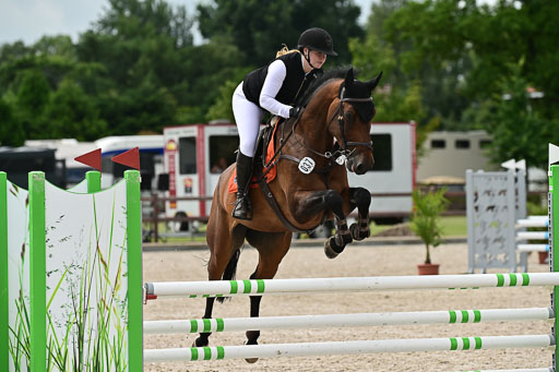 Klein Offenseth  - Hengststation Hell | 26072025 L Springen _017 