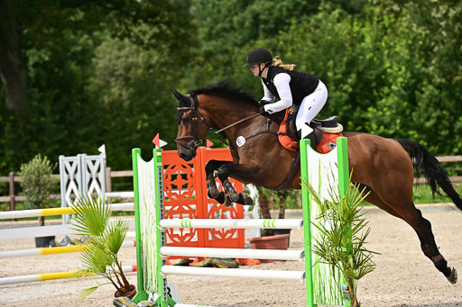 Klein Offenseth  - Hengststation Hell | 26072025 L Springen _018 