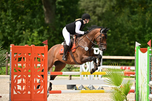 Klein Offenseth  - Hengststation Hell | 26072025 L Springen _020 