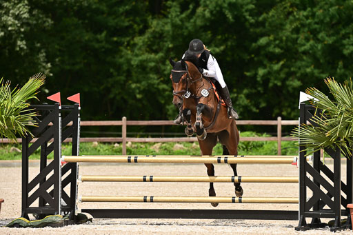 Klein Offenseth  - Hengststation Hell | 26072025 L Springen _021 