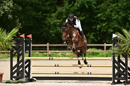 Klein Offenseth  - Hengststation Hell | 26072025 L Springen _022 