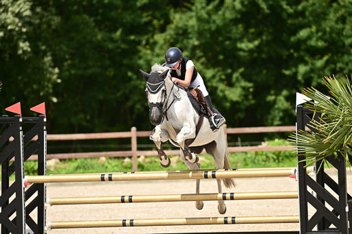 Klein Offenseth  - Hengststation Hell | 26072025 L Springen _028 