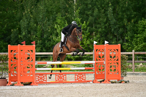 Klein Offenseth  - Hengststation Hell | 26072025 L Springen _044 