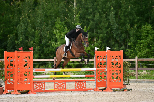 Klein Offenseth  - Hengststation Hell | 26072025 L Springen _045 