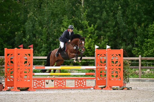 Klein Offenseth  - Hengststation Hell | 26072025 L Springen _061 