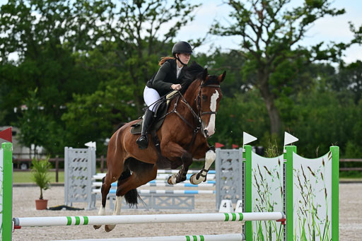 Klein Offenseth  - Hengststation Hell | 26072025 L Springen _065 