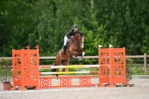 Klein Offenseth  - Hengststation Hell | 26072025 L Springen _068 