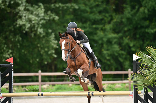 Klein Offenseth  - Hengststation Hell | 26072025 L Springen _072 