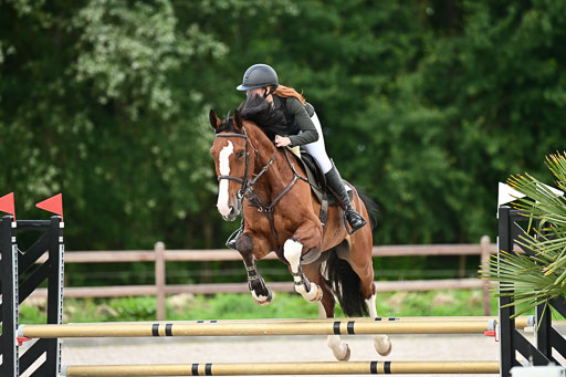 Klein Offenseth  - Hengststation Hell | 26072025 L Springen _073 