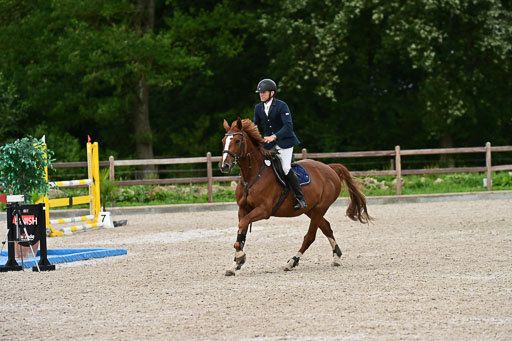 Klein Offenseth  - Hengststation Hell | 26072025 L Springen _074 