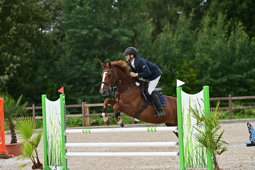 Klein Offenseth  - Hengststation Hell | 26072025 L Springen _075 