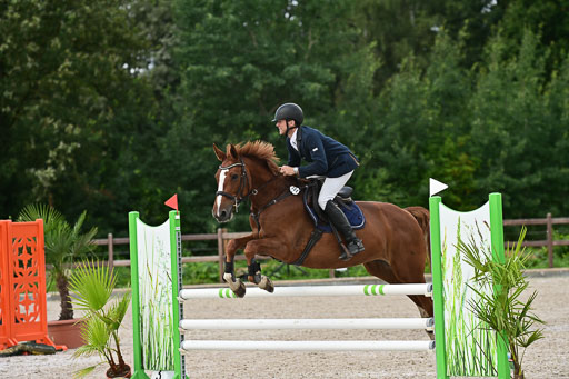 Klein Offenseth  - Hengststation Hell | 26072025 L Springen _076 