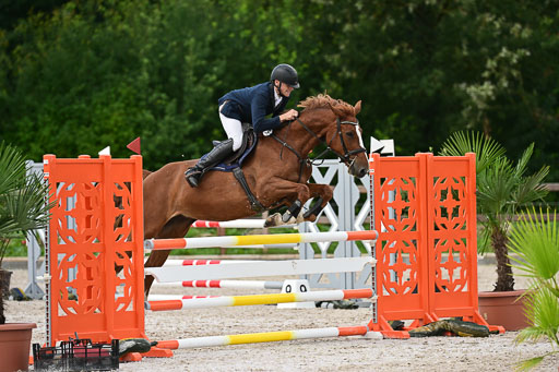 Klein Offenseth  - Hengststation Hell | 26072025 L Springen _079 