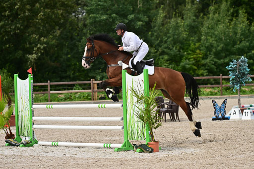 Klein Offenseth  - Hengststation Hell | 26072025 L Springen _081 