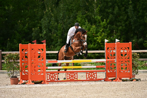 Klein Offenseth  - Hengststation Hell | 26072025 L Springen _082 