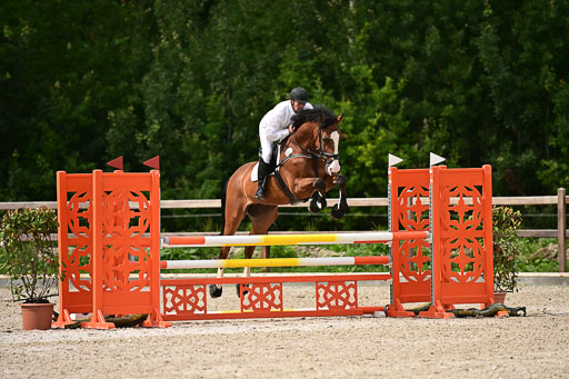 Klein Offenseth  - Hengststation Hell | 26072025 L Springen _083 