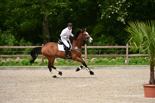 Klein Offenseth  - Hengststation Hell | 26072025 L Springen _085 