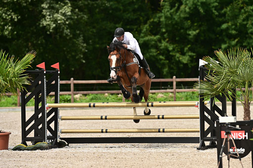 Klein Offenseth  - Hengststation Hell | 26072025 L Springen _086 