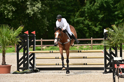 Klein Offenseth  - Hengststation Hell | 26072025 L Springen _087 