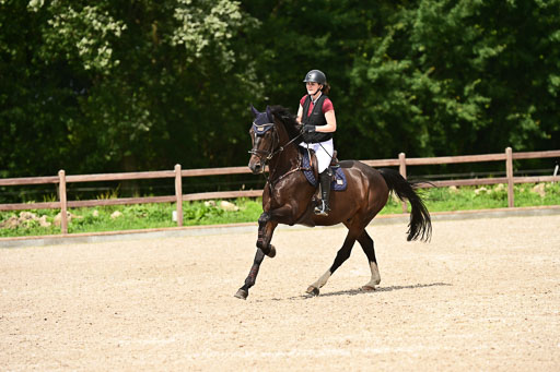 Klein Offenseth  - Hengststation Hell | 26072025 L Springen _089 