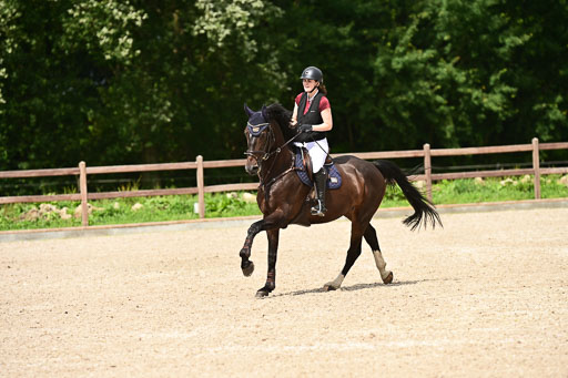 Klein Offenseth  - Hengststation Hell | 26072025 L Springen _090 