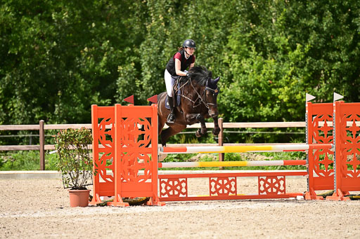 Klein Offenseth  - Hengststation Hell | 26072025 L Springen _092 