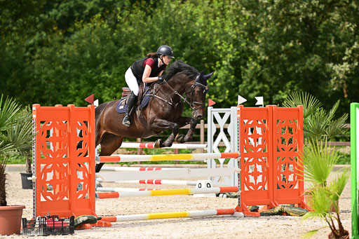 Klein Offenseth  - Hengststation Hell | 26072025 L Springen _093 