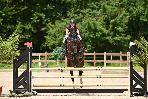 Klein Offenseth  - Hengststation Hell | 26072025 L Springen _094 