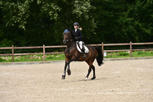 Klein Offenseth  - Hengststation Hell | 26072025 L Springen _097 