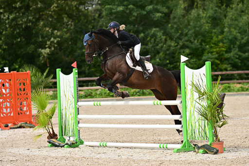 Klein Offenseth  - Hengststation Hell | 26072025 L Springen _098 