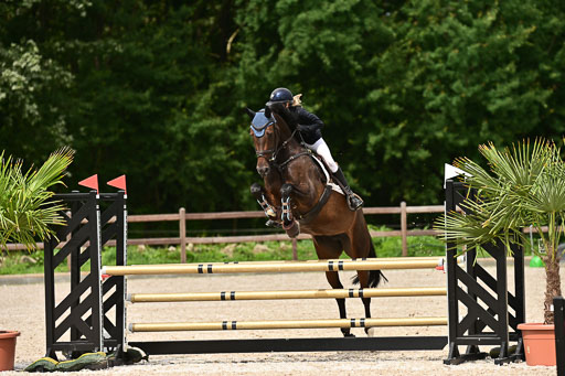 Klein Offenseth  - Hengststation Hell | 26072025 L Springen _101 