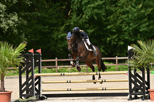 Klein Offenseth  - Hengststation Hell | 26072025 L Springen _102 