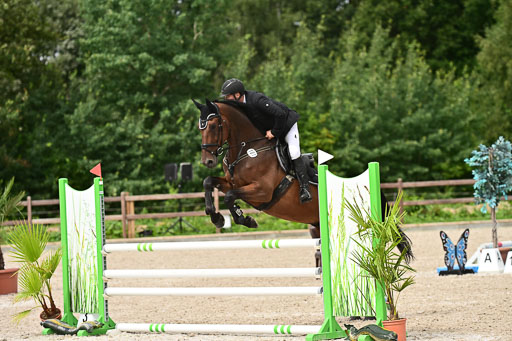 Klein Offenseth  - Hengststation Hell | 26072025 L Springen _103 