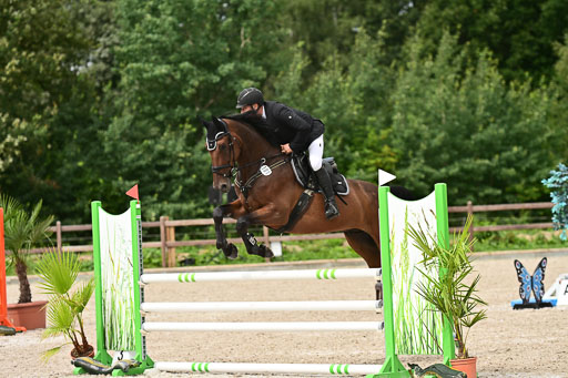 Klein Offenseth  - Hengststation Hell | 26072025 L Springen _104 