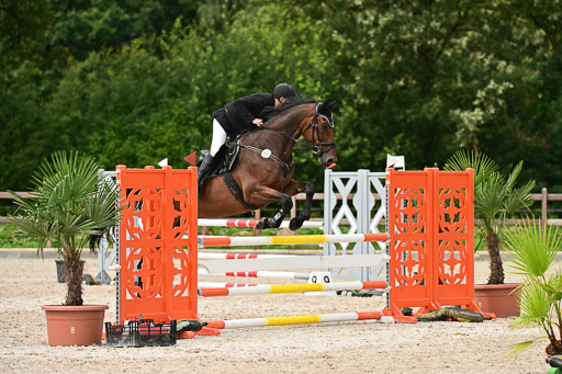 Klein Offenseth  - Hengststation Hell | 26072025 L Springen _106 