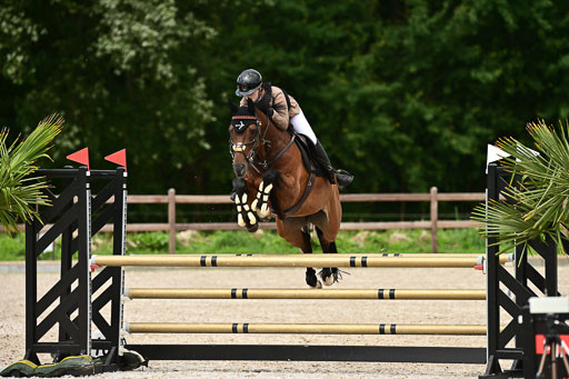 Klein Offenseth  - Hengststation Hell | 26072025 L Springen _113 