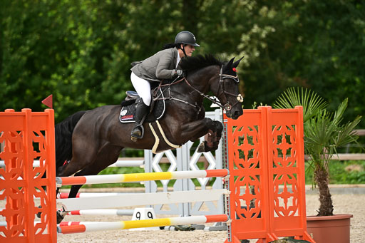 Klein Offenseth  - Hengststation Hell | 26072025 L Springen _120 