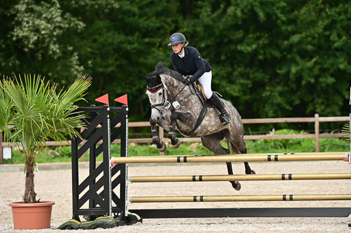 Klein Offenseth  - Hengststation Hell | 26072025 L Springen _129 