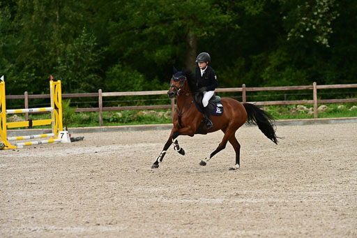 Klein Offenseth  - Hengststation Hell | 26072025 L Springen _131 