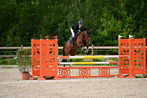 Klein Offenseth  - Hengststation Hell | 26072025 L Springen _133 