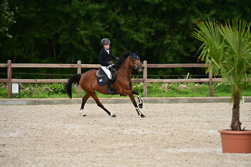 Klein Offenseth  - Hengststation Hell | 26072025 L Springen _135 