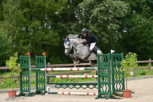 Klein Offenseth  - Hengststation Hell | 26072025 M++ Springen _01 