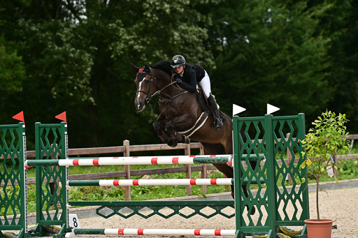 Klein Offenseth  - Hengststation Hell | 26072025 M++ Springen _04 