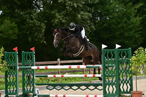 Klein Offenseth  - Hengststation Hell | 26072025 M++ Springen _05 