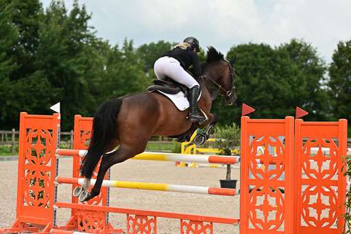 Klein Offenseth  - Hengststation Hell | 26072025 M++ Springen _17 