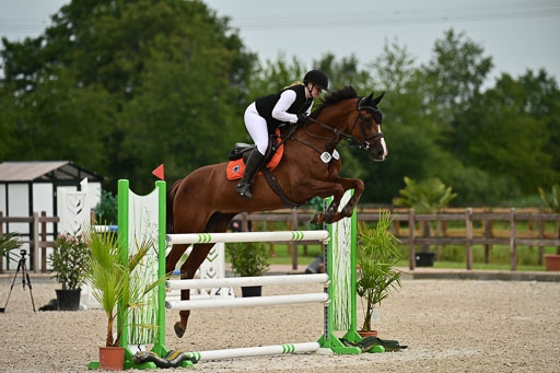 Klein Offenseth  - Hengststation Hell | 26072025 M++ Springen _34 